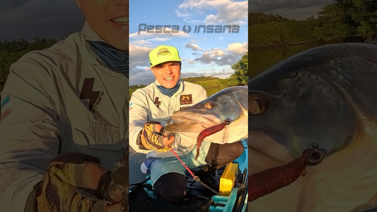ROBALO FLECHA NO MANGUEZAL!! #iscaartificial #pescaria #pescaria #robalo #snook #mangrove #fishing