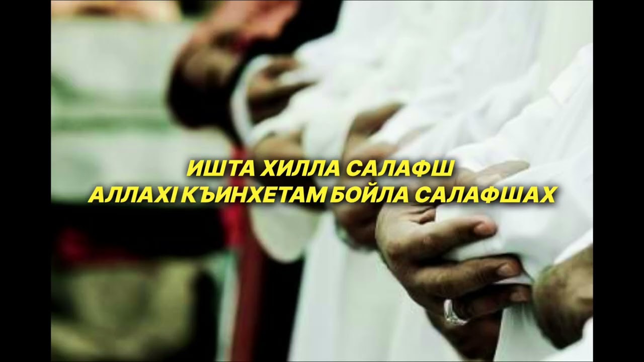 Шейх lели | Ишта хилла Салафш Аллахl къинхетам бойла Салафшах.