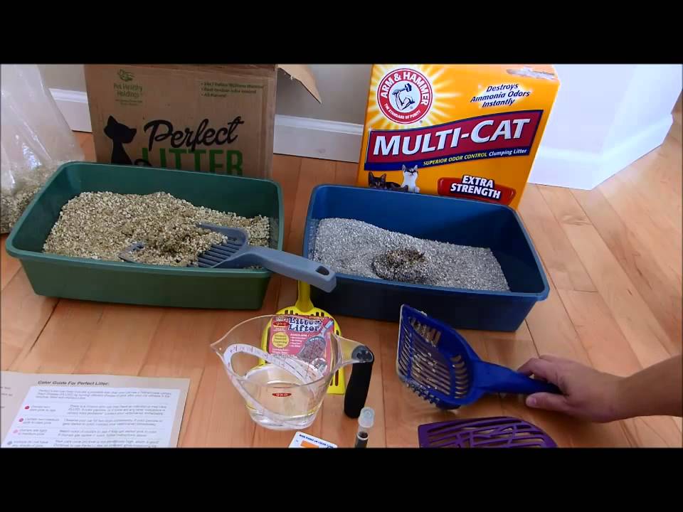 My review of Litter-Lifter scoops, Perfect Litter, and the Drinkwell 360