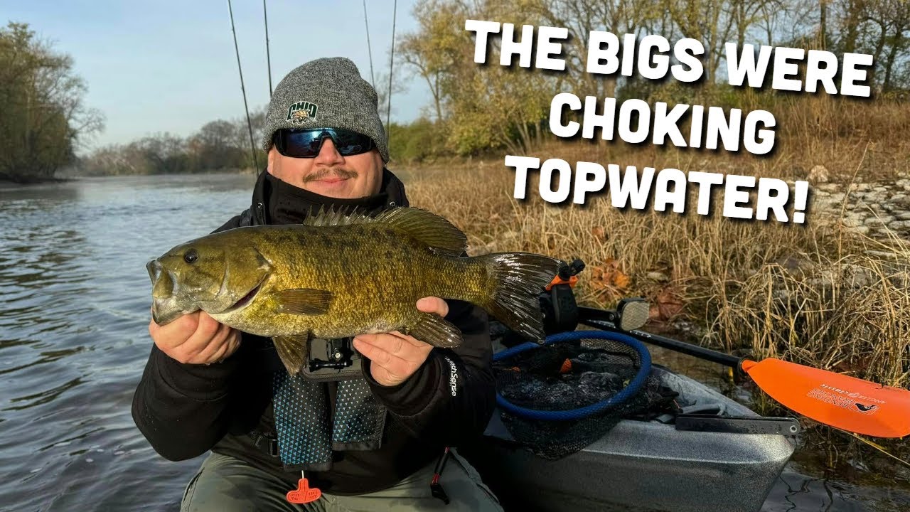 Topwater MAYHEM on the Great Miami River in November!