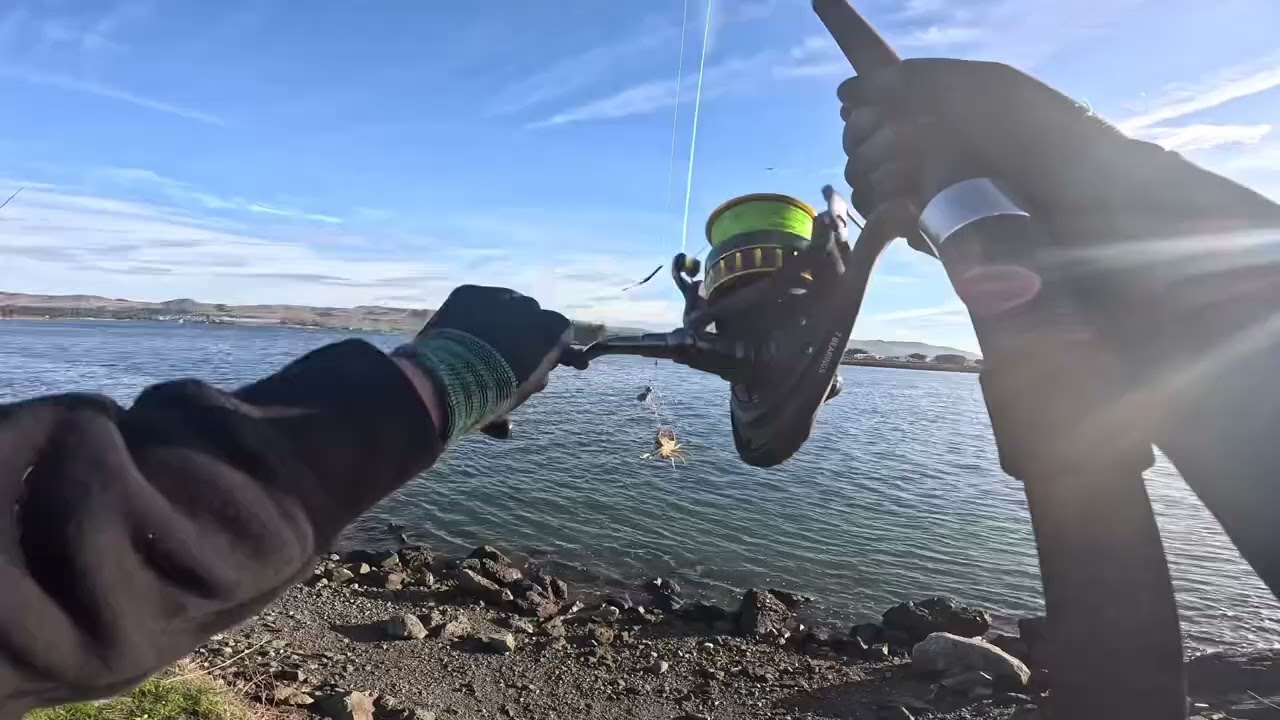 Another Day in Bodega Bay | Dungeness Crab Snaring