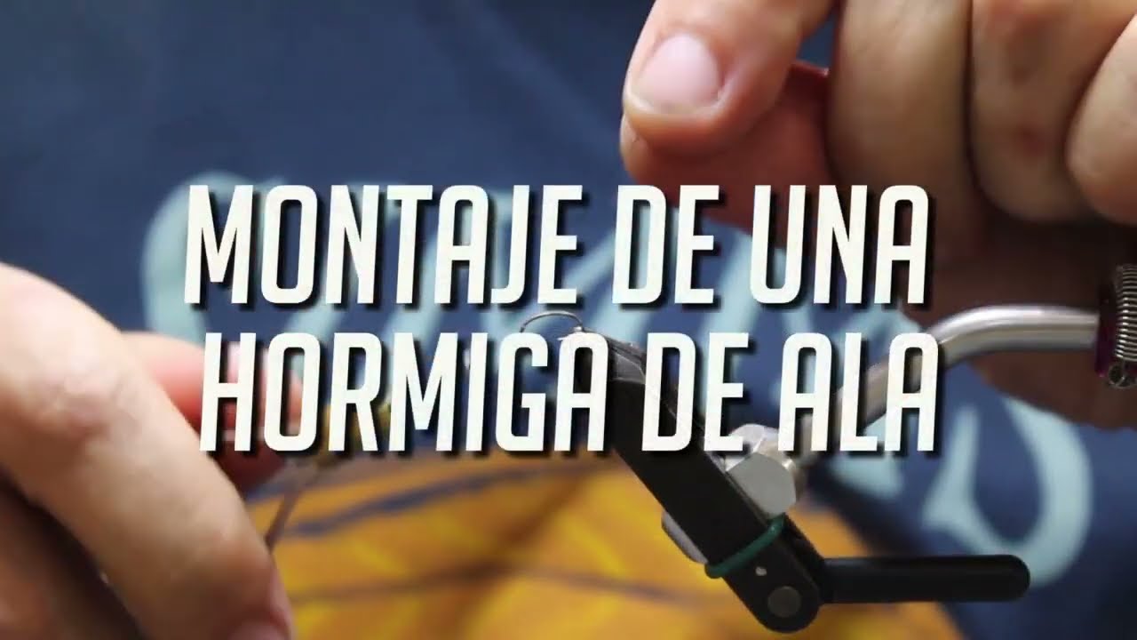 Montaje de una hormiga de ala por Francisco Muela y Theflycenter
