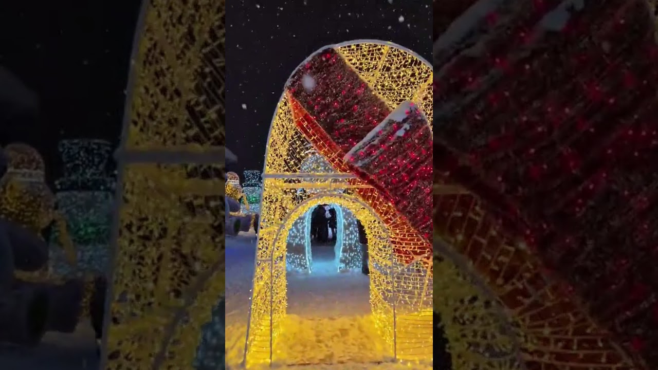 Trévi's lights