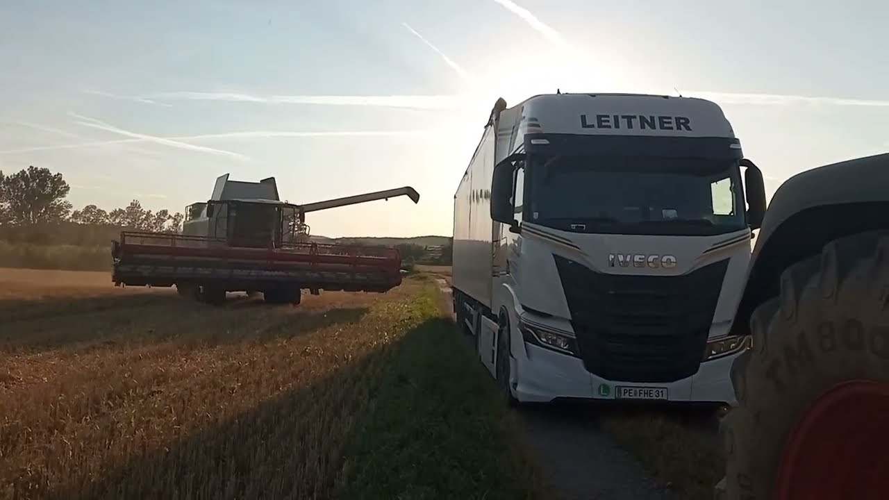 JZD Spálov - uvádí realvideo - Žně 2022 - odvoz tahačem.