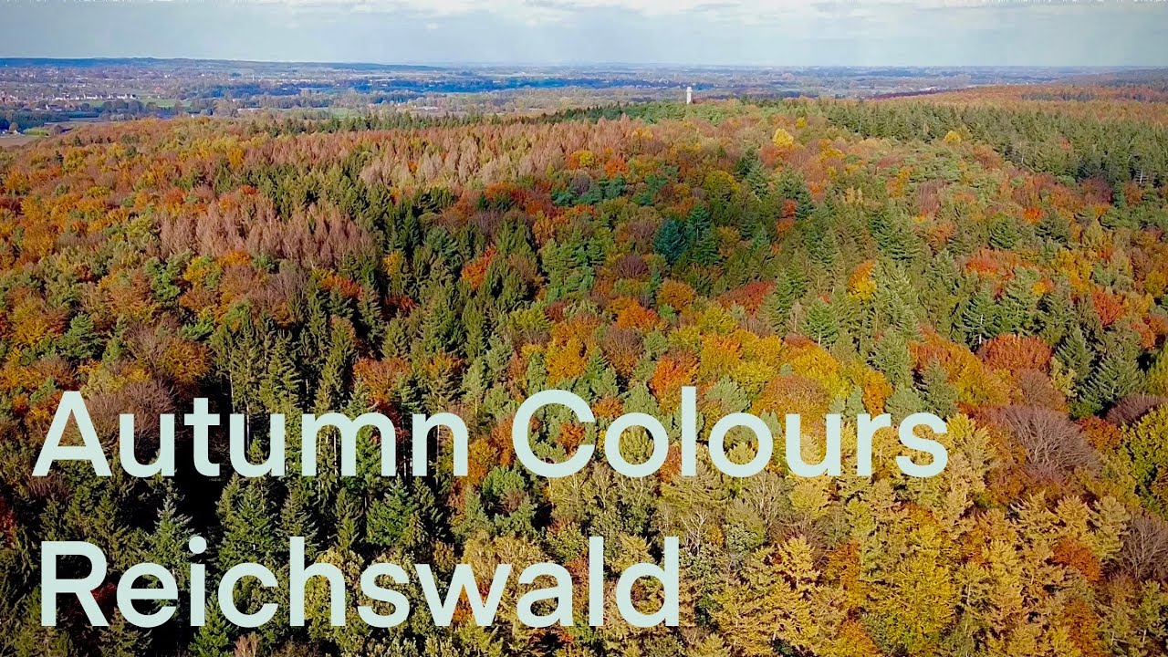 Autumn Colours - Reichswald