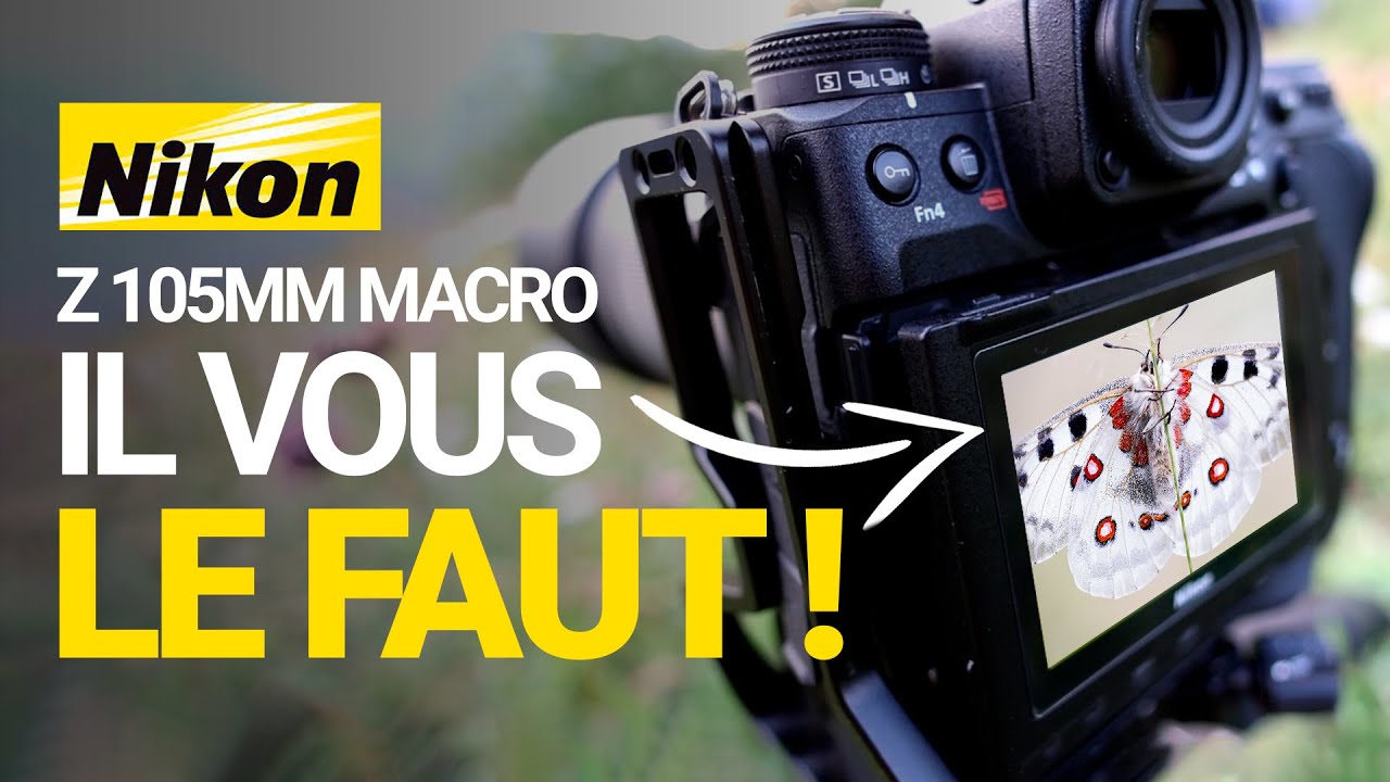 Test du Nikon Z 105mm macro : il vous le FAUT !