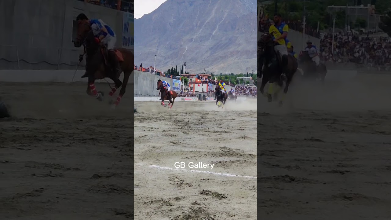 Weldon Gb scouts B #horse #horsetrack #horseracing