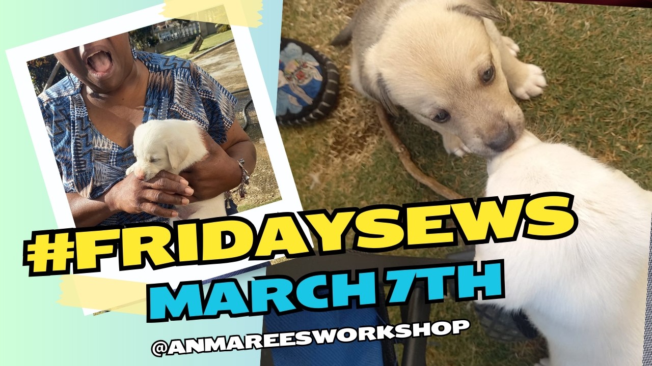 What I Sewed this Week | #FridaySews March 7th 2025 Copying a retail dress and puppy therapy