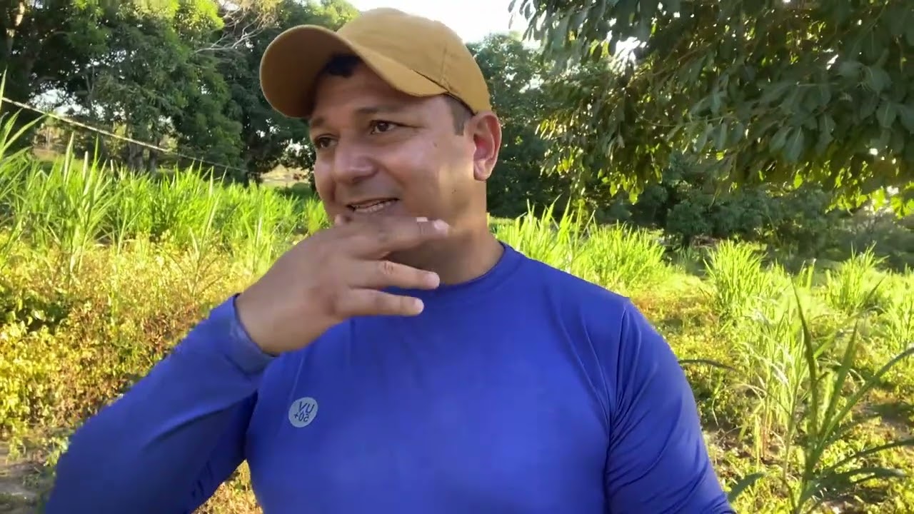 Herbicidas Que eu uso para fazer a limpeza do capim capiaçu.￼