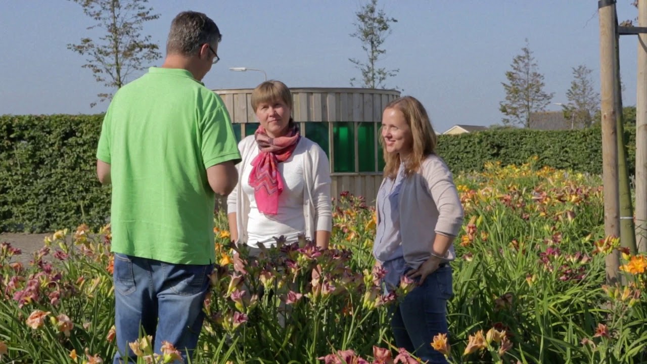 Heemskerk Vasteplanten B.V. | Perennials