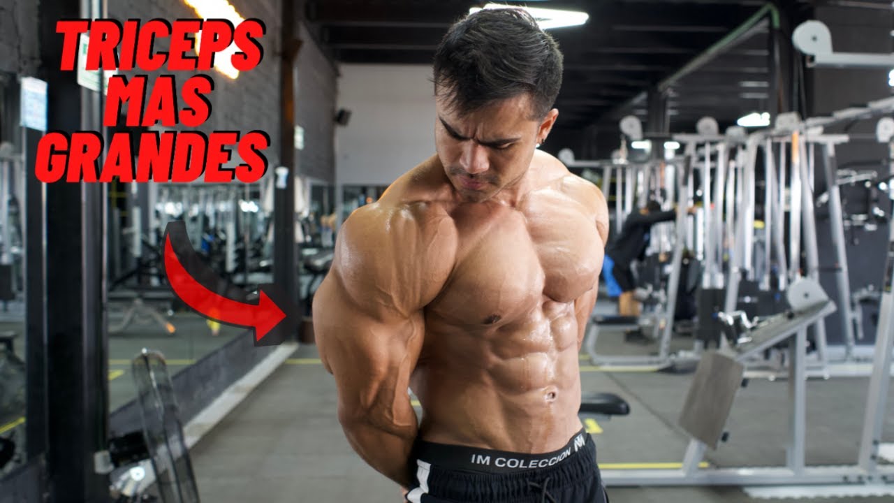 RUTINA PARA TRICEPS MAS GRANDES Y DEFINIDOS I ISMAEL MARTINEZ