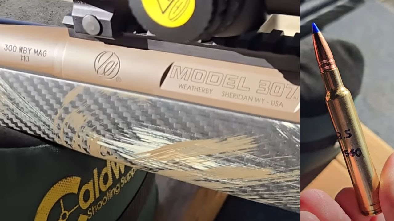 WBY Model 307 Alpine CT Hammers!