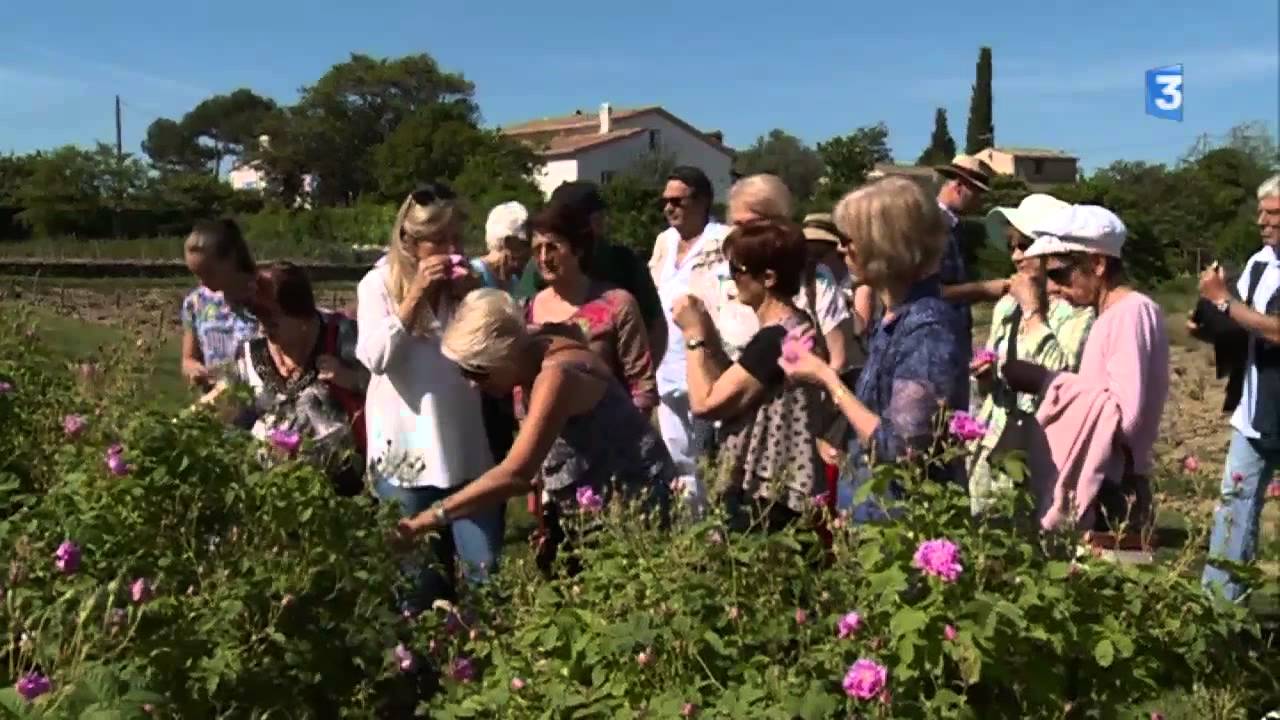 Parcours de vie Carole Biancalana, fleurs d'exception du pays de Grasse