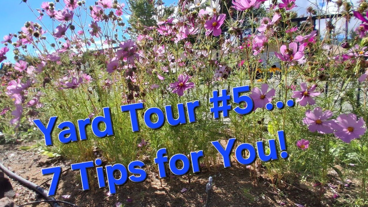 Yard Tour #5 ... 7 tips for you!