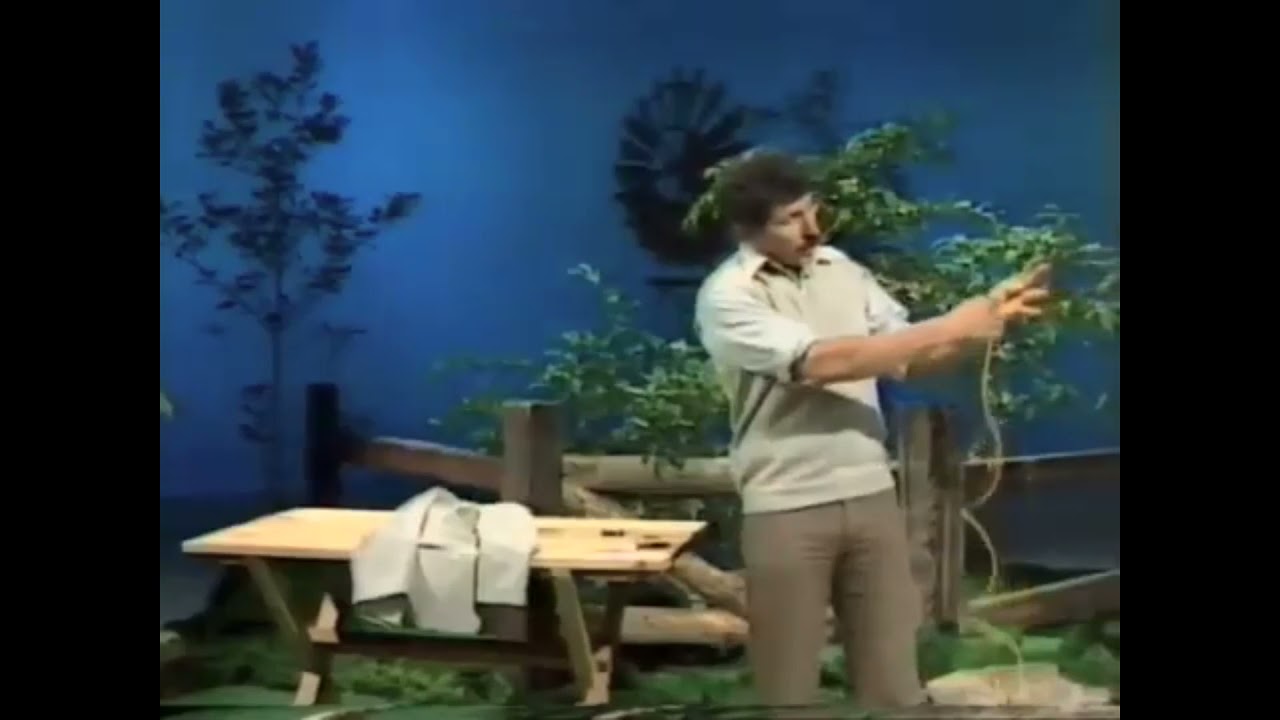 A rope trick and a half