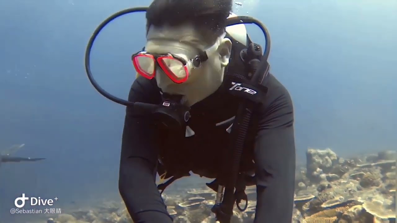 Maldives | Dhigurah | SCUBA diving 🇲🇻
