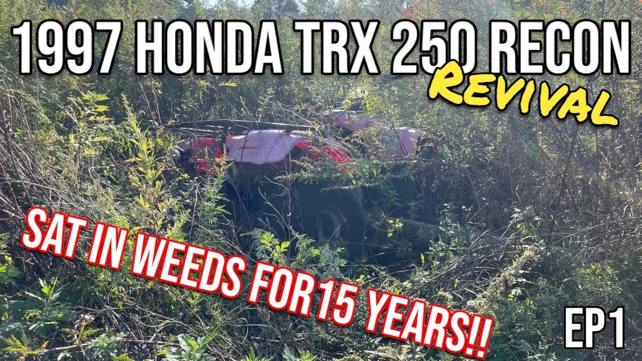 Реанимируем ЗАБРОШЕННЫЙ Honda Recon 250 1997 года, который простоял на улице 15 лет! | Заведется ...