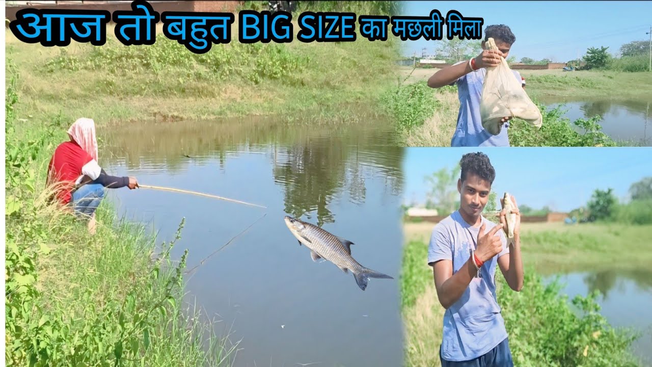 आज तो बहुत सारा मछली पकड़ लिया 🐟🐟 || I caught a lot of fish today 🐠🐠 #fishing #fishvideo #fish 