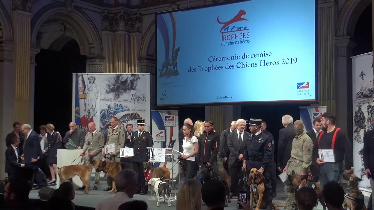 Cérémonie de remise des Trophées des Chiens Héros 2019