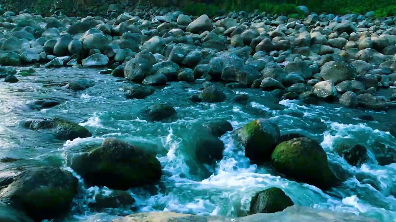 Tropical Forest River for Deep Sleep, Mental Clarity