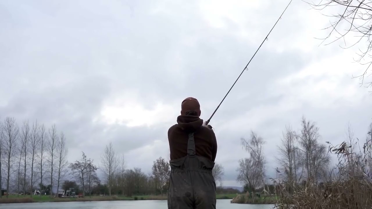 Ca&ntilde;as extensibles Black Widow Tele Carp
