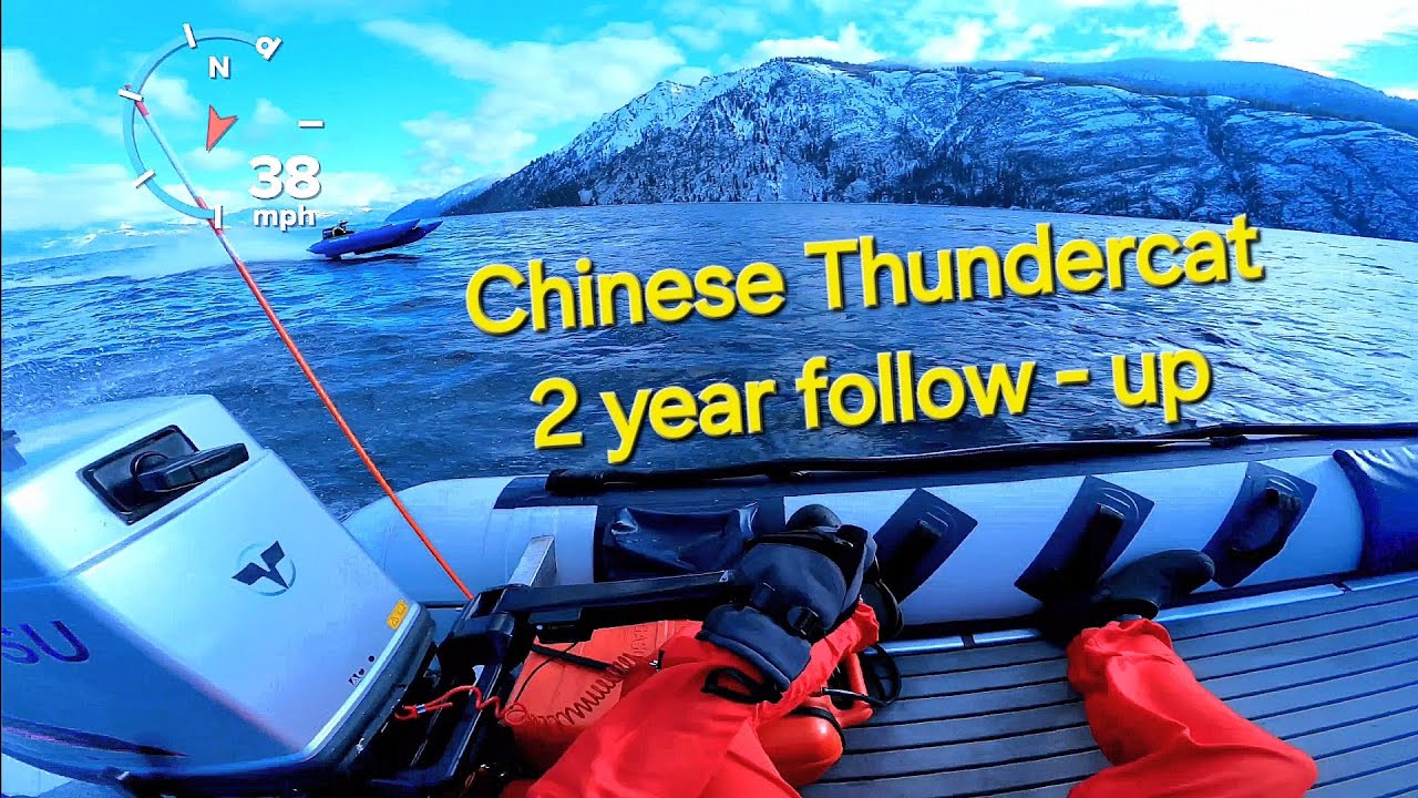Chinese thundercat overview