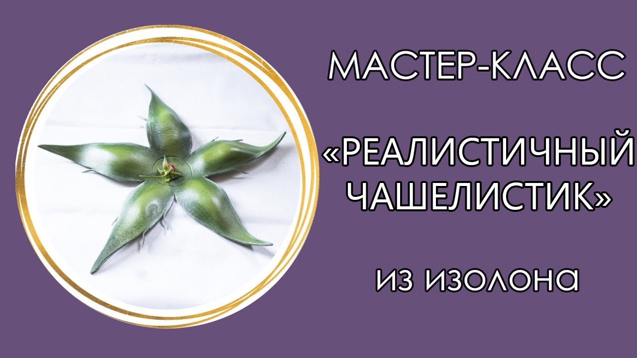🌹РЕАЛИСТИЧНЫЙ ЧАШЕЛИСТИК из изолона (Мастер-Класс 2020)