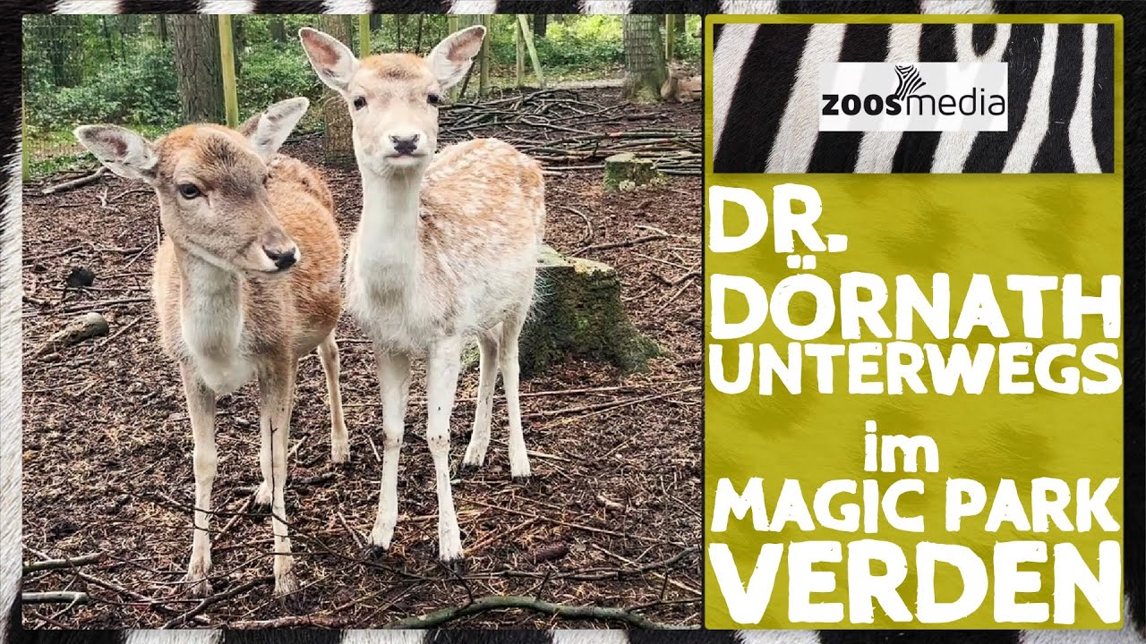 Alles bereit für die HIRSCHE im Magic Park Verden? | zoos.media