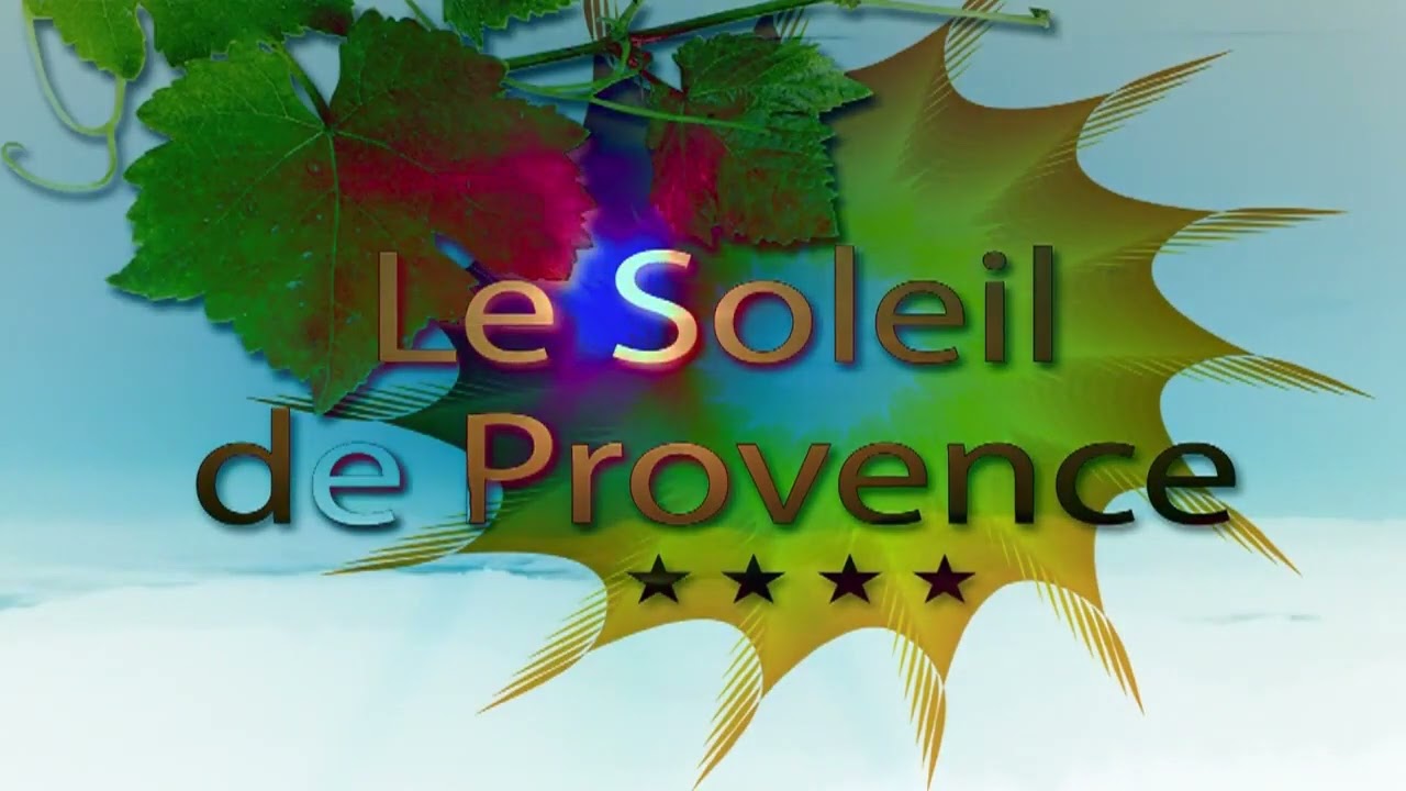 Barbouillan Mapping 2016 Saint-Jurs 04