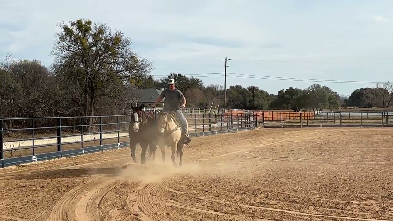 Biz and Max 1/1/26