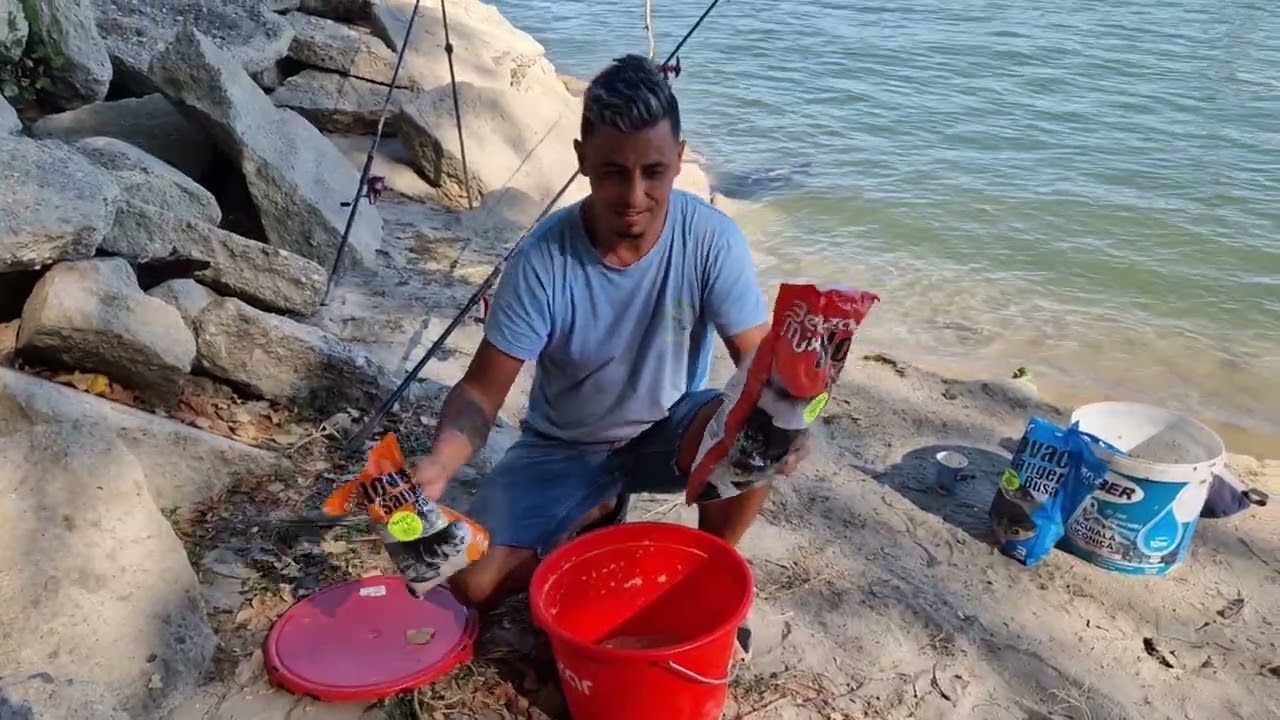  🎣 Rezumatul partidelor mele la fitofag pe Dunăre!