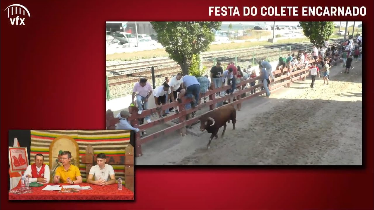 Festa do Colete Encarnado'25 - 4 de julho | Transmissão em direto