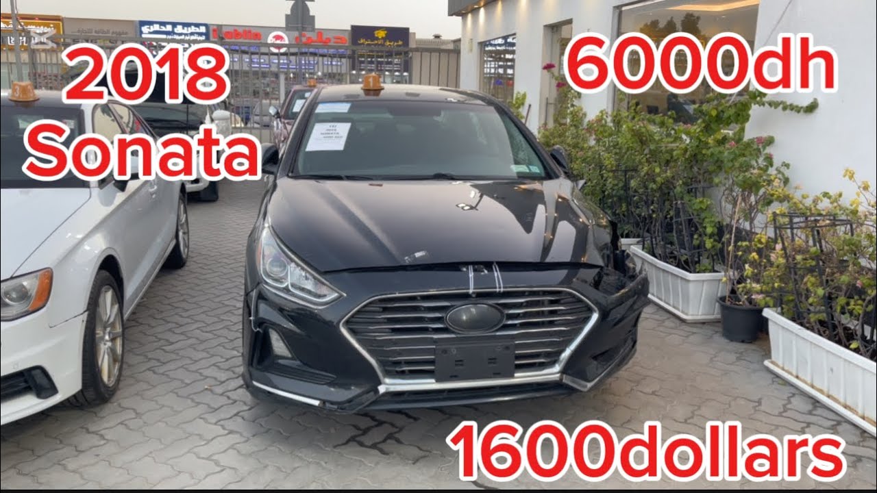 مزاد النخبة الصناعية 2 الشارقة