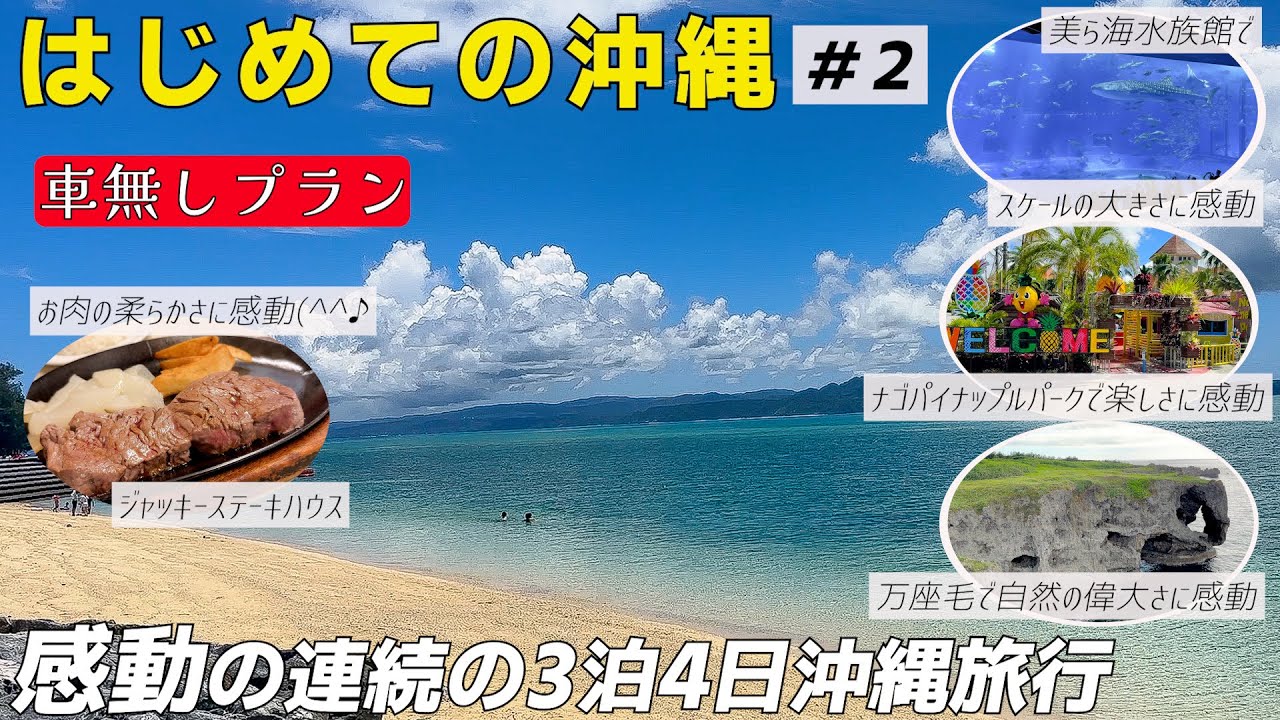 【2023.夏　沖縄旅行3泊4日#２】車なしプラン！快適なバスに乗り沖縄の有名な観光スポットを巡り！ナゴパイナップルパーク/美ら海水族館/古宇利島/万座毛