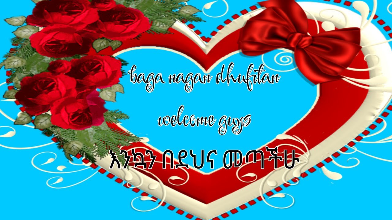 አለን እንላለን ስላለን ነውና ልምዳችን ስለሆነ