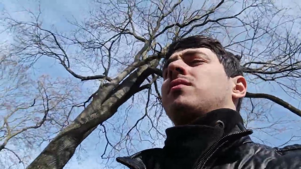 Почему люди занимаются аномальным бредом?