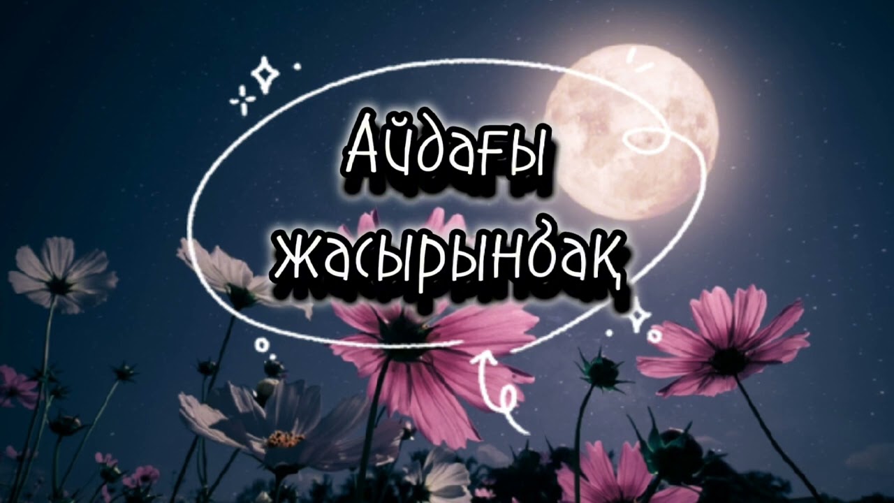 Айдағы жасырынбақ аудиокітап