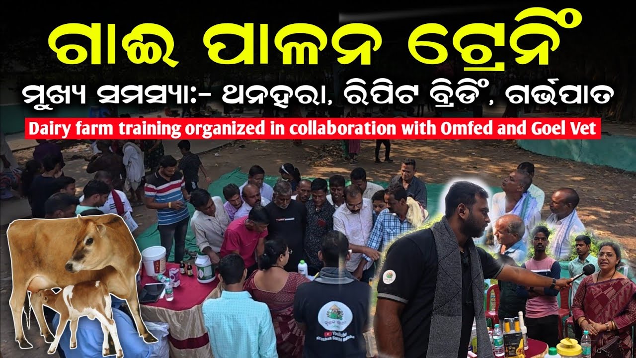 🐄Dairy farm training in odisha|Stop Mastitis & Repeat Breeding in 🐄Cows & 🐃Buffaloes! 