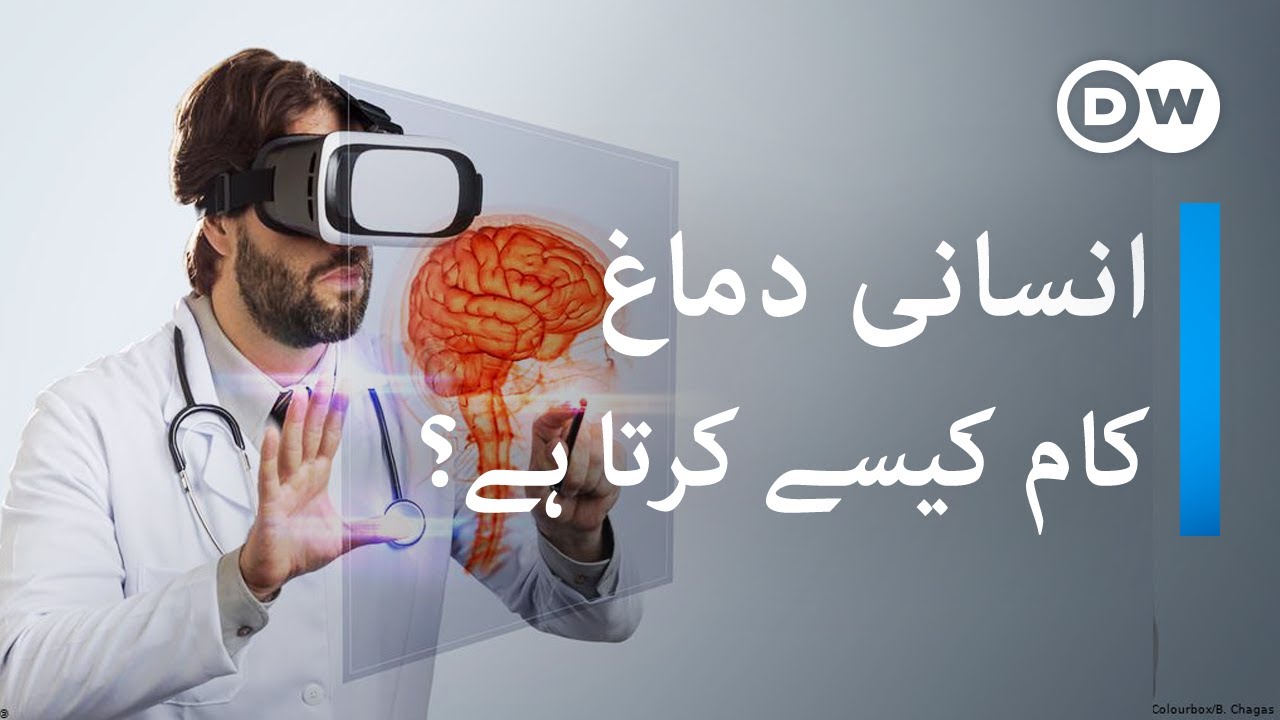 انسانی دماغ کیسے کام کرتا ہے؟ | Human brain Project