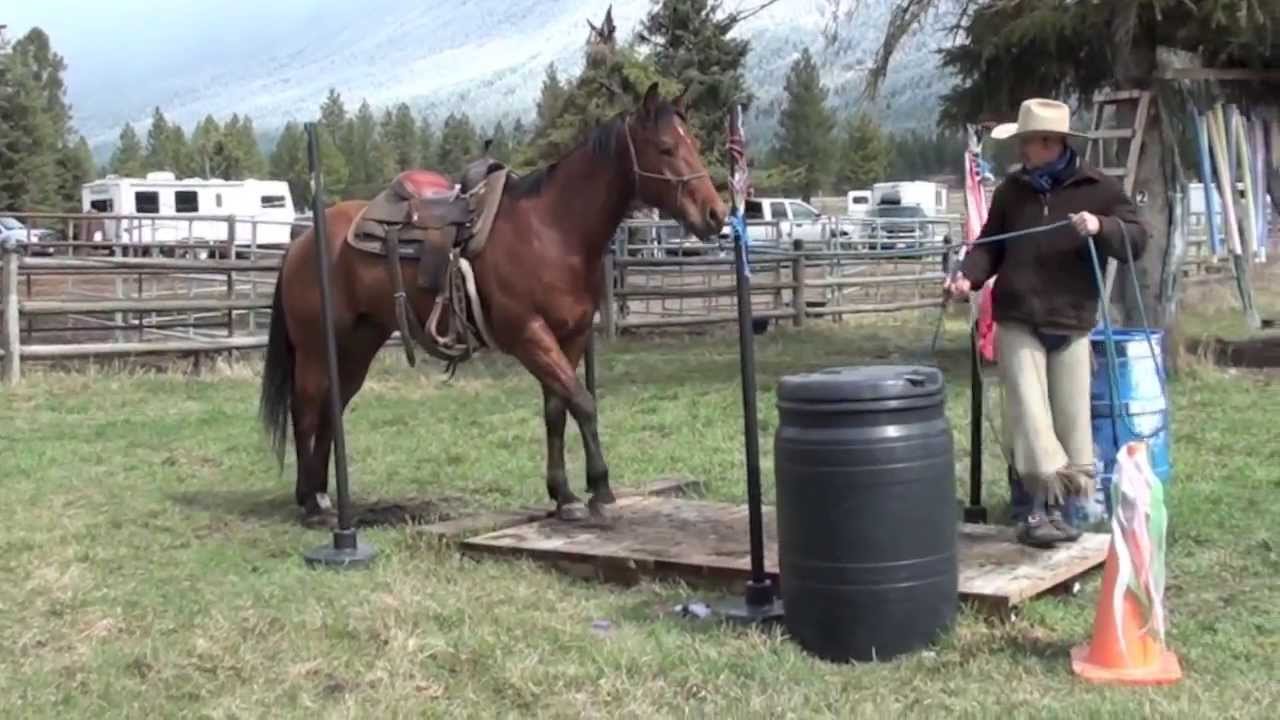 Jim & Maverick -  Road to the Horse 1