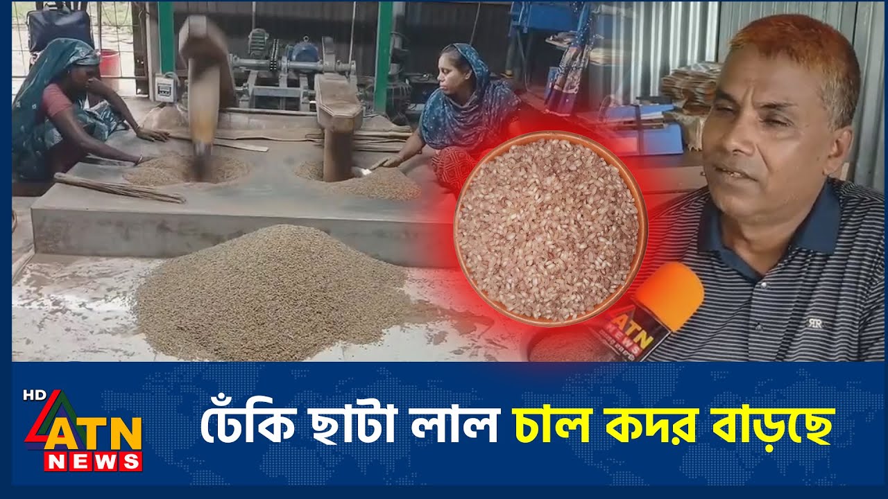 ঢেঁকি ছাটা লাল চাল কদর বাড়ছে | Red Rice | Dheki | ATN News