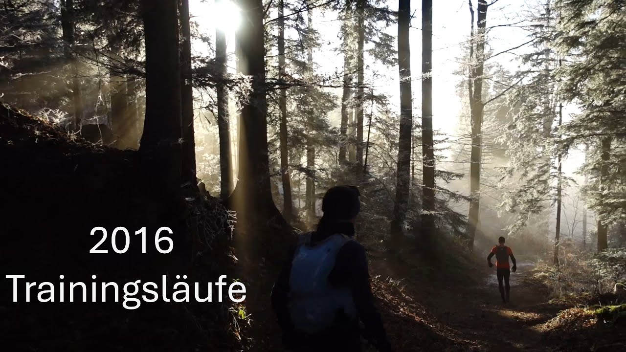 2016 Das Laufjahr - die schönsten Trainingsläufe 