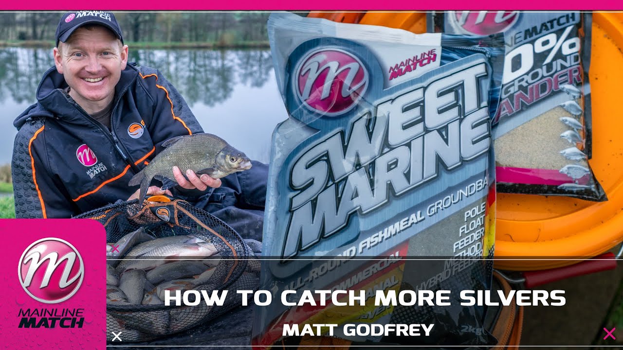 Mainline Match Fishing TV - How To Catch Silvers!