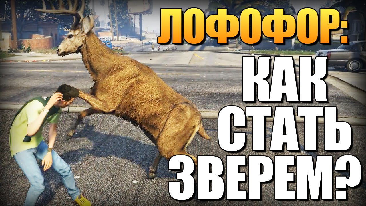GTA 5 - Как Играть за Животных? (Лофофоры) #3