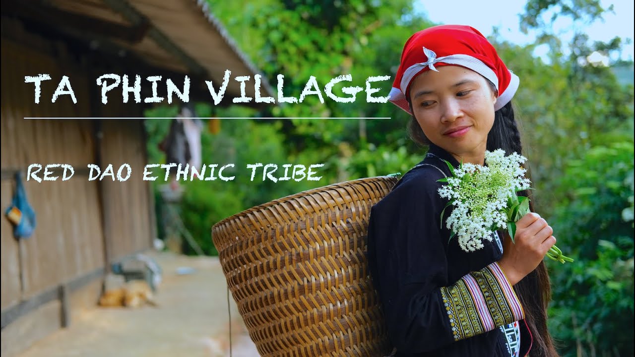 Red Dao Ethnic Tribe inTa Phin Village (Part 1)