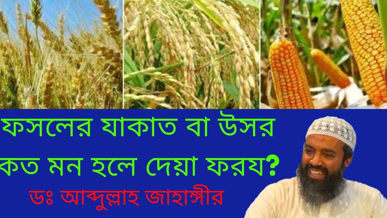 ফসলের যাকাত কিভাবে দিব?কত মন হলে যাকাত দিতে হবে,ডঃ আব্দুল্লাহ জাহাঙ্গীর