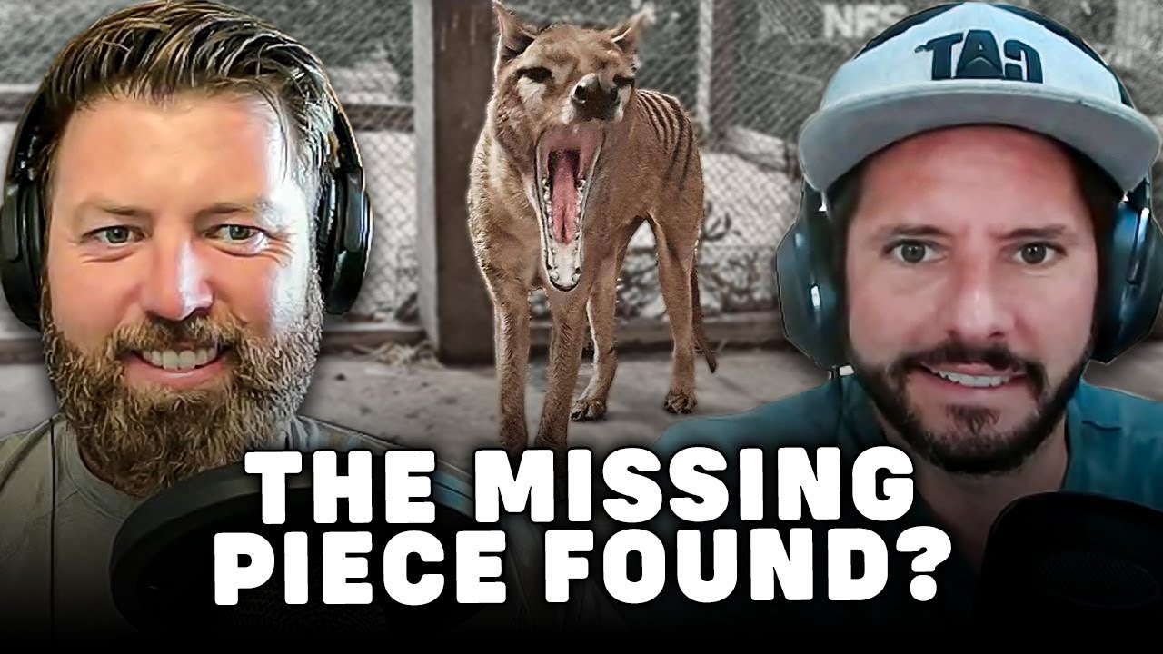 Could This Finally Bring Back Thylacine?