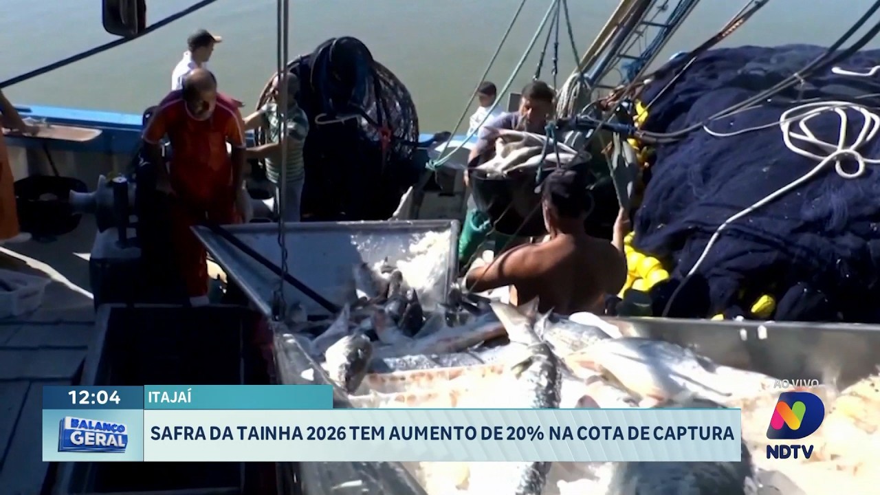 Governo amplia em 20% cota da tainha para 2026