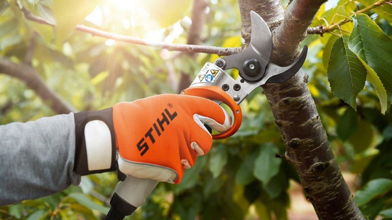 Stihl -ASA85 akkumulátoros ágvágó olló