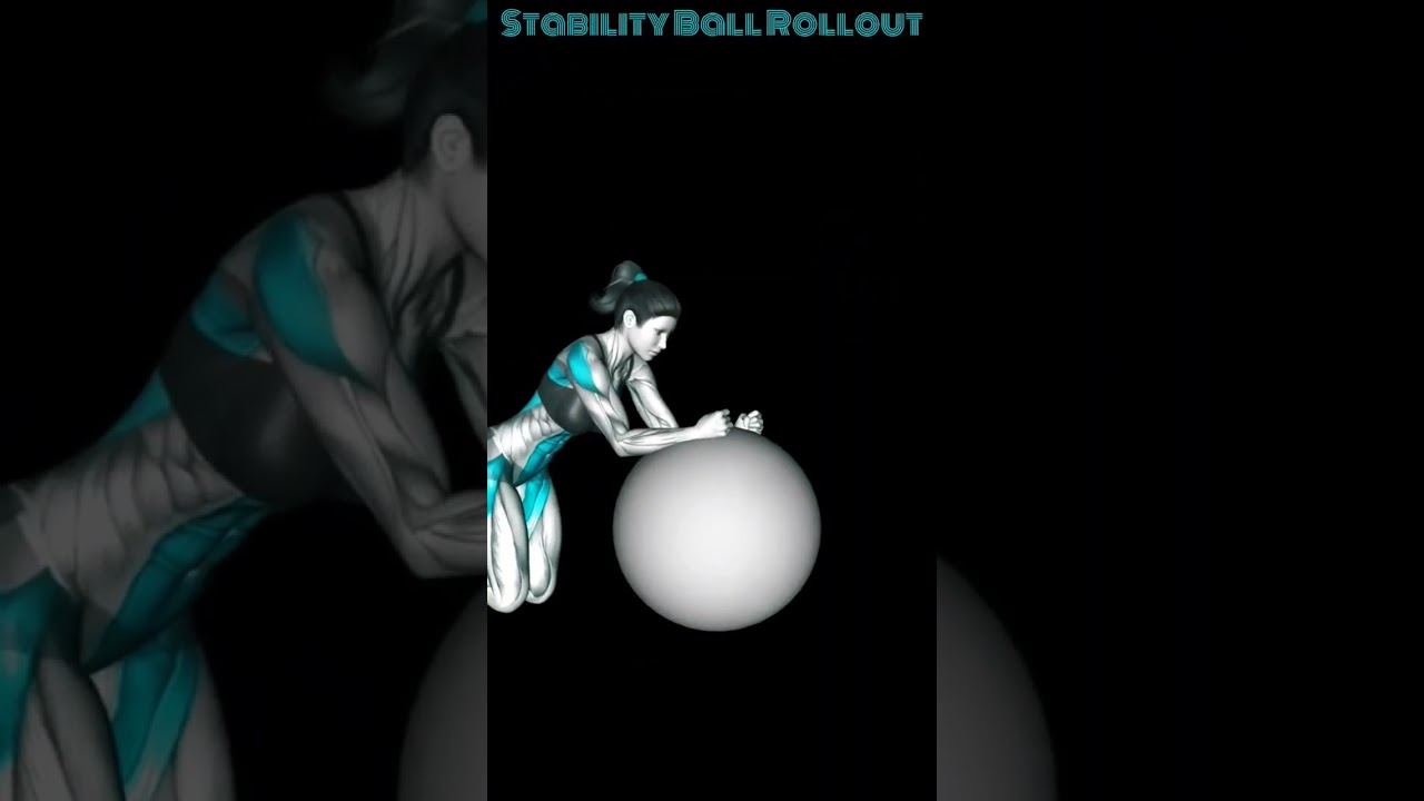 Stability ball workout | Quick guide